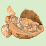 Link to peach ornament information